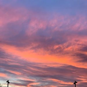 Meet your Posher, Maggie